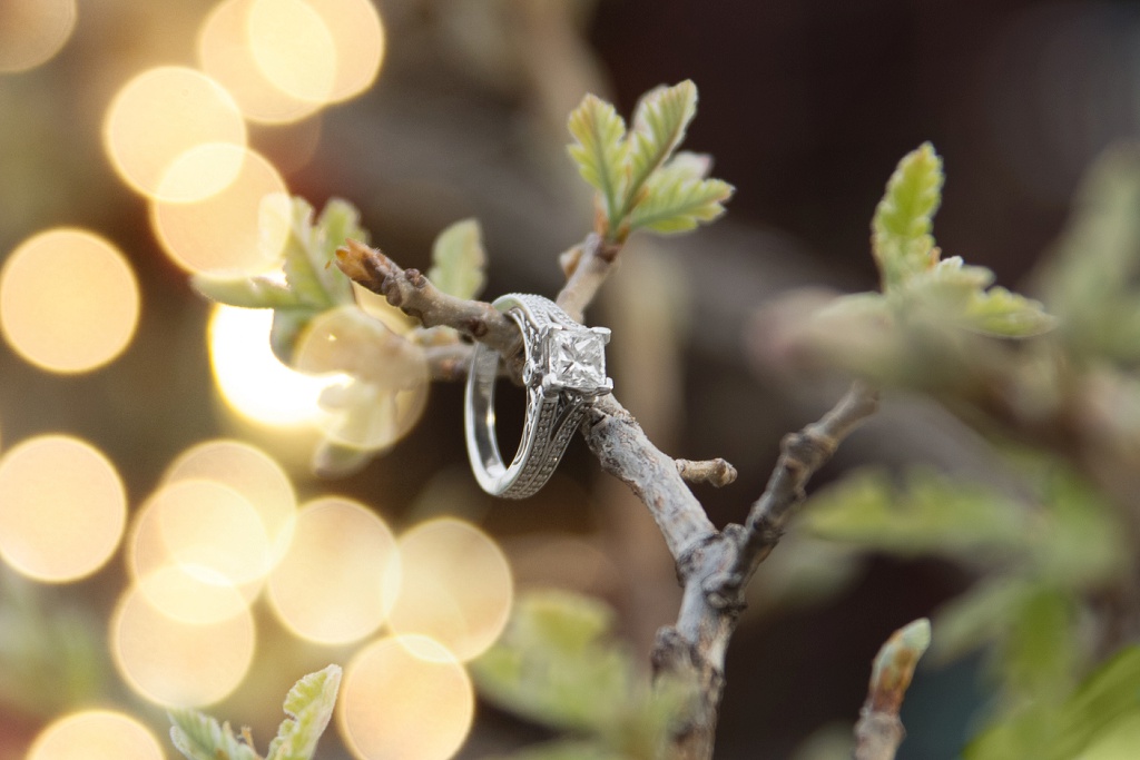 Wedding ring on a tree branch with golden bokeh