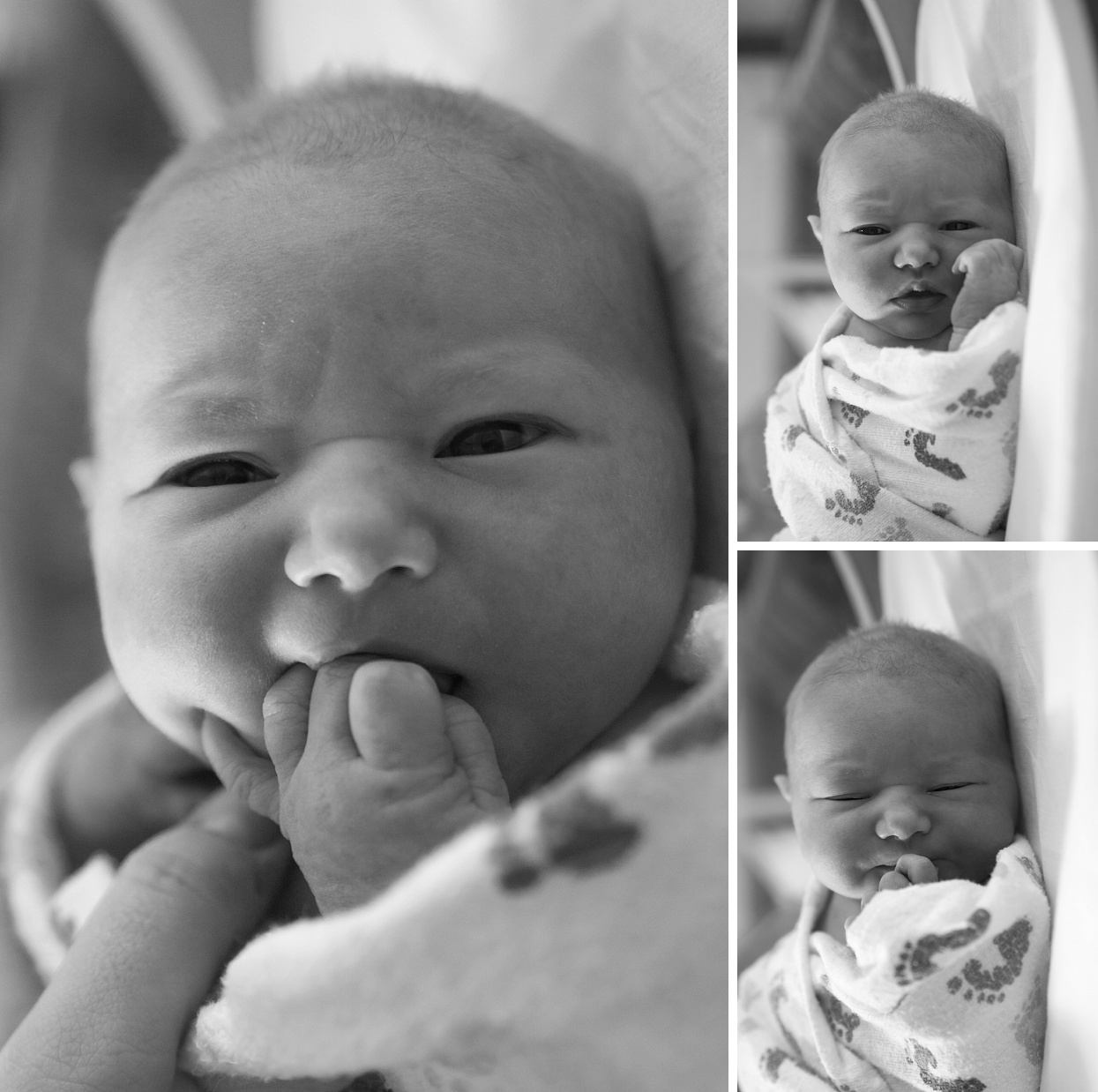 Newborn baby silly expressions, Fresh 48 photos at Lutheran Hospital Colorado 