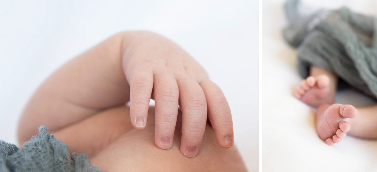 Closeup of baby's hands, Denver newborn photographer