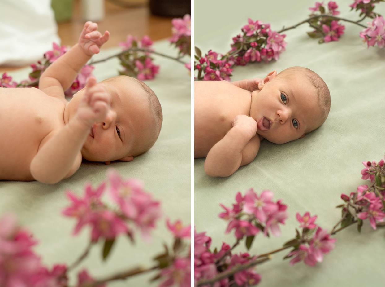 Baby girl on a sage green backdrop with pink flowering tree branches