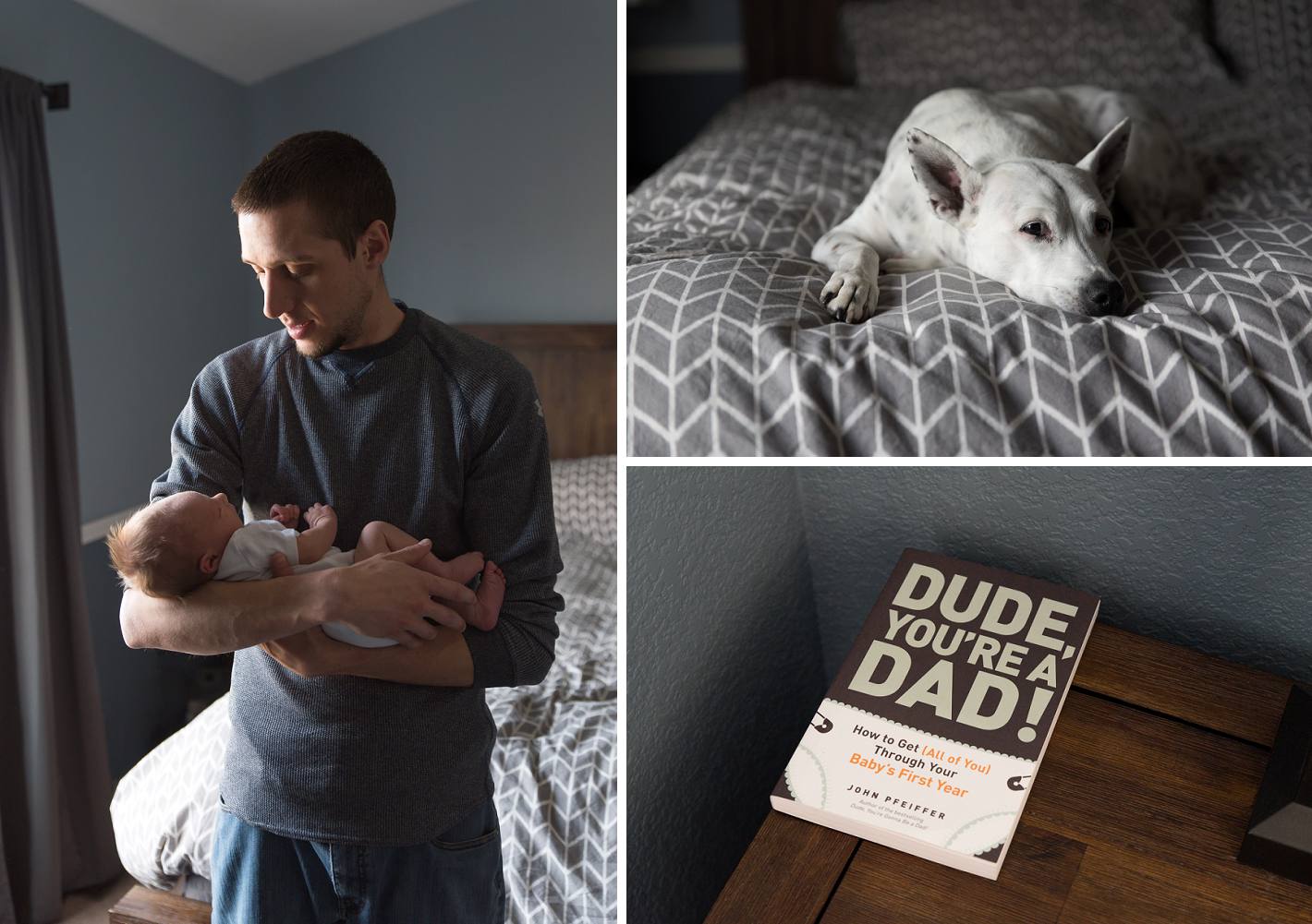 Grey and blue newborn photography, dad holding baby at home