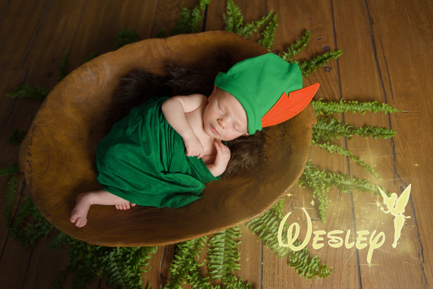 Peter Pan themed newborn shoot with Disney inspired writing