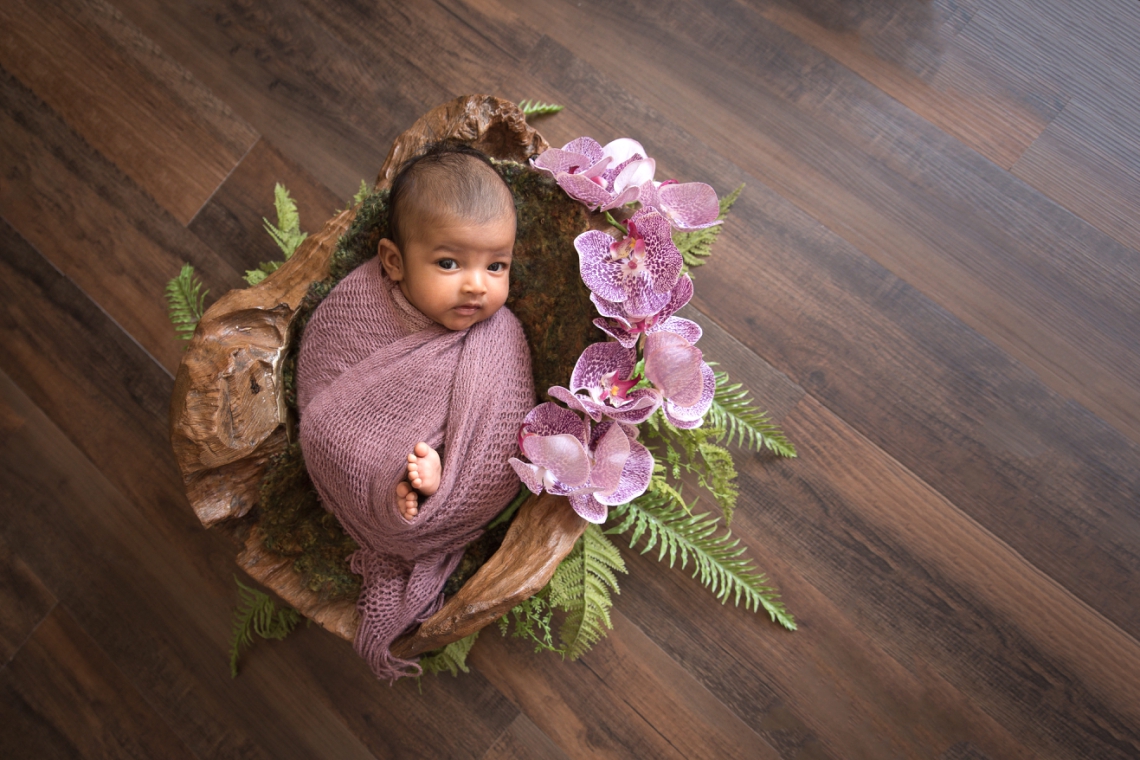 Tropical newborn photography with purple orchids and ferns