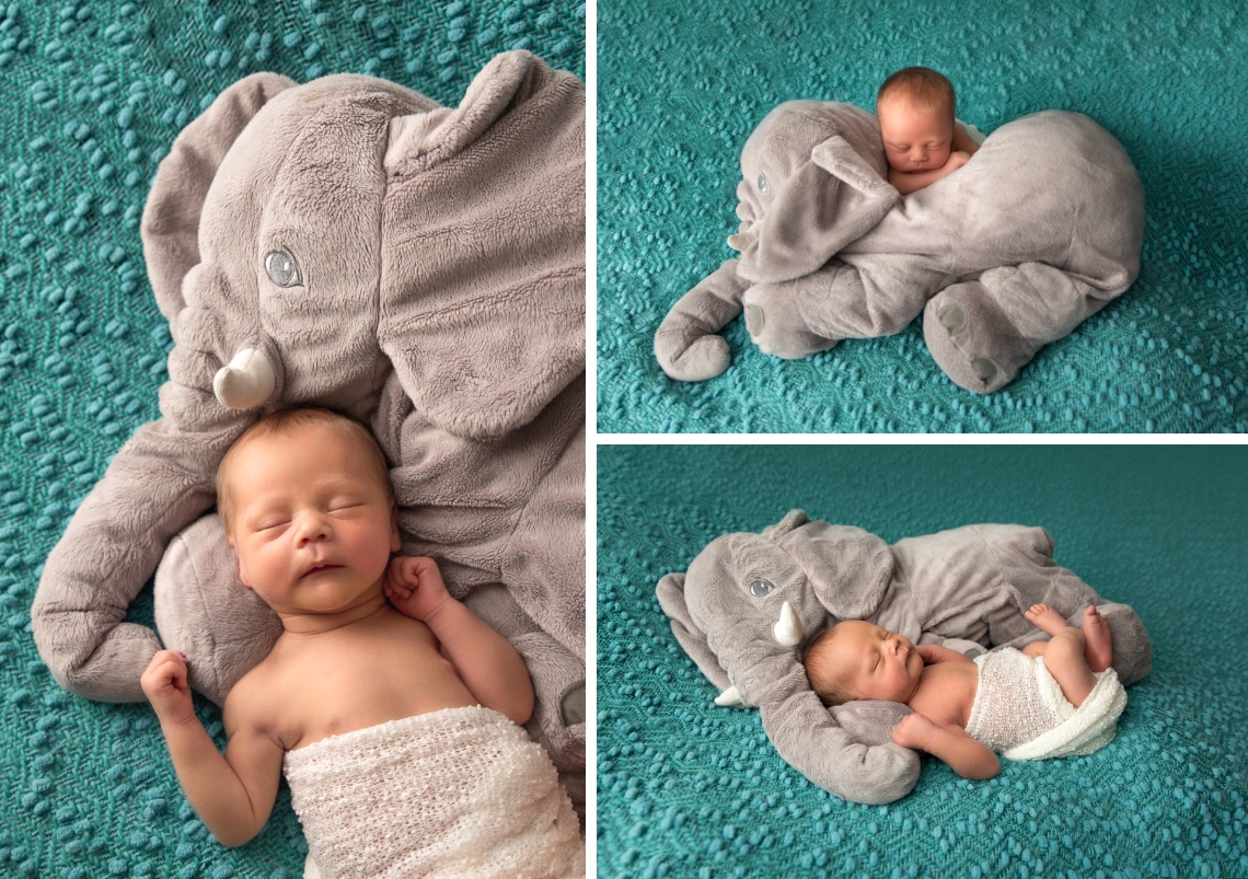 Newborn photography with Ikea elephant stuffed animal plush