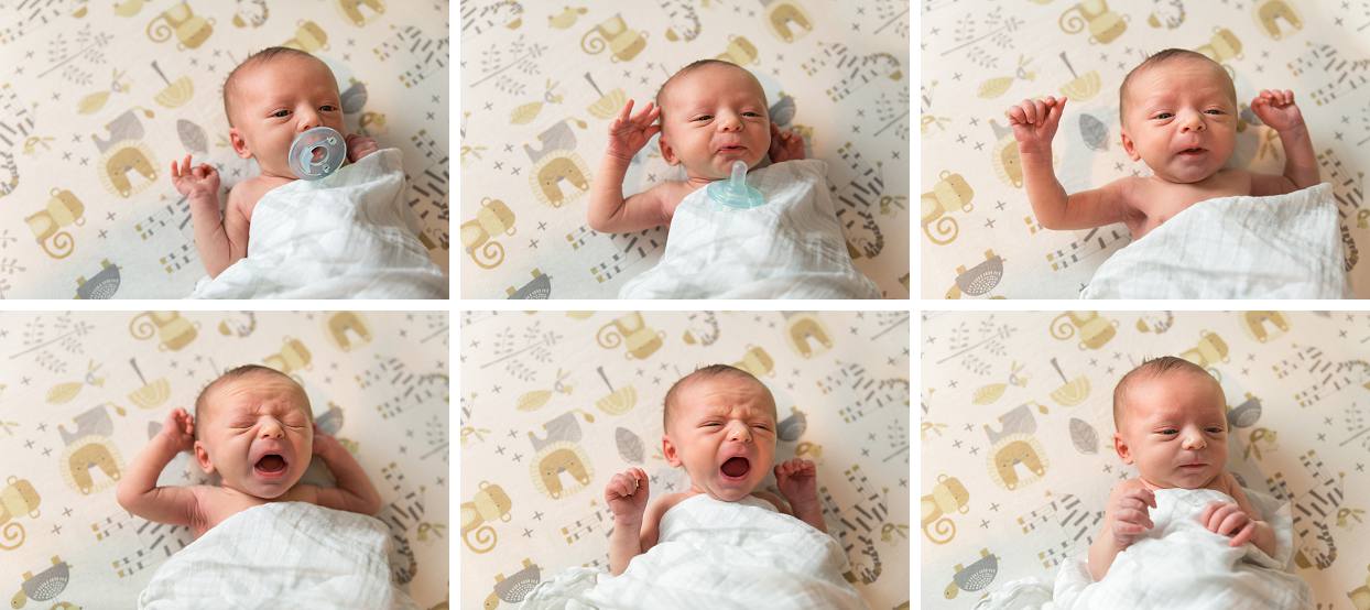 Newborn expressions collage