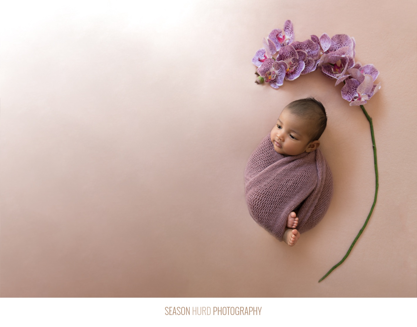 Newborn girl in orchid purple with orchid flowers