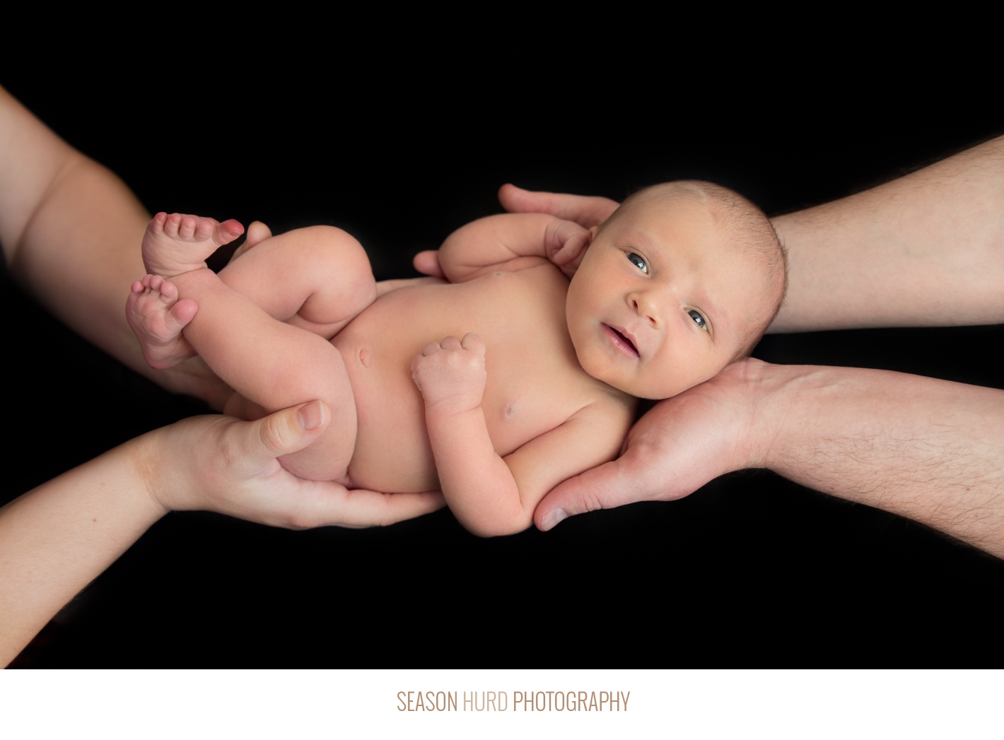 Artistic black backdrop shot of newborn being held by parents